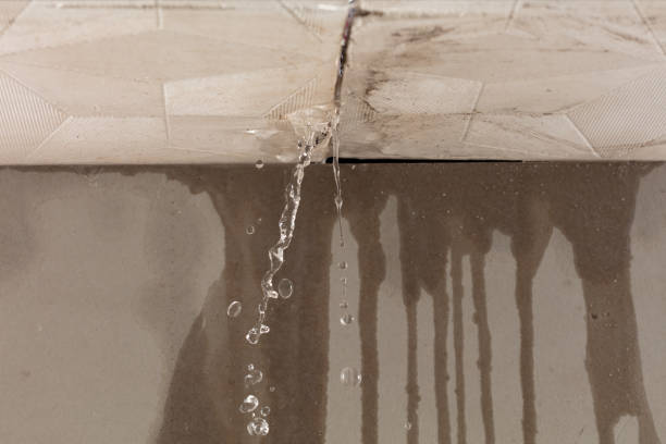 Professional Water Extraction technician working in Woodburn, IN